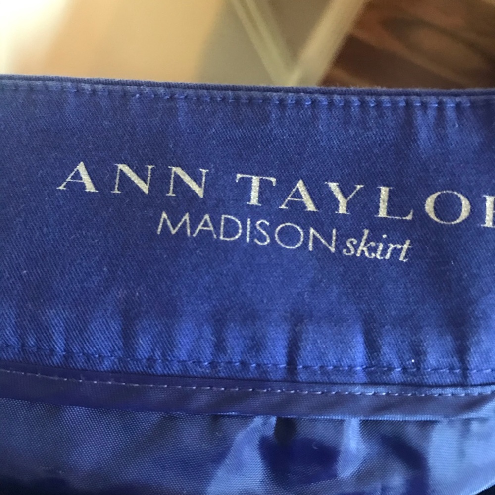 Ann Taylor Madison Skirt